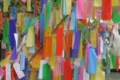 Written prayers hanging from a tree in the subway