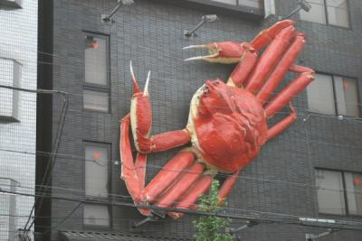 Closer Big Crab!  Kyoto