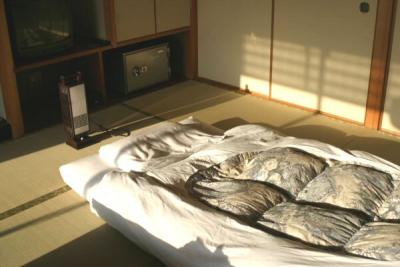 Another shot of the Futon. That little light at the head of the Futon? Very pretty.