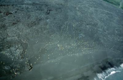u16/goislands/medium/2448419.314HawaiiVolcano3o3.jpg