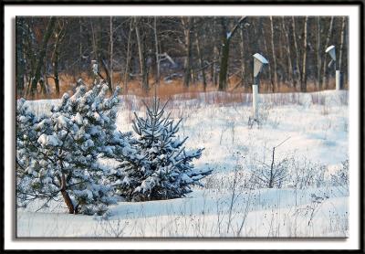 Fresh Snowfall