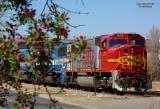 BNSF 8255 West At Longmont, CO