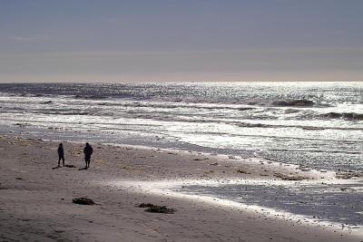 DEL MAR