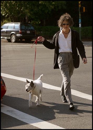 crosswalk