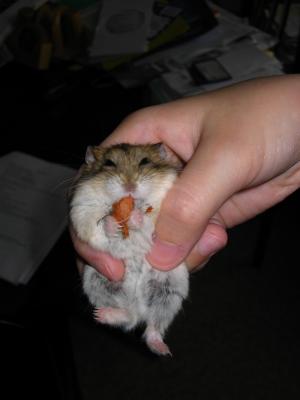 ůĺ,Żд.