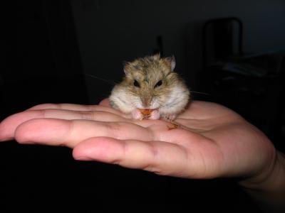 İѻ~