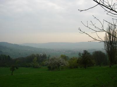 P1010520(1).JPG