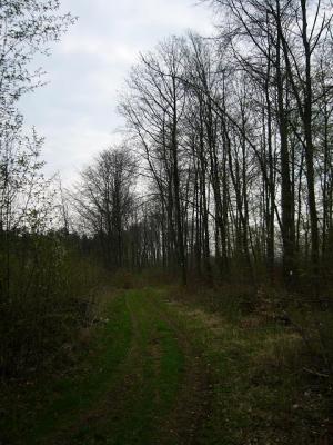 P1010524(1).JPG