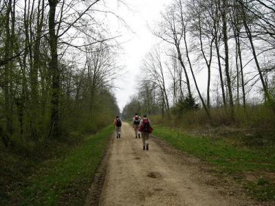 P1010527(1).JPG