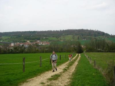 P1010528(1).JPG