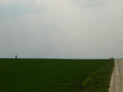 P1010539(1).JPG