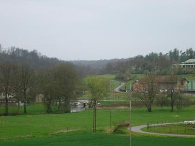 P1010550(1).JPG