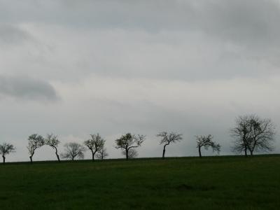 P1010557(1).JPG