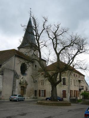 P1010564(1).JPG
