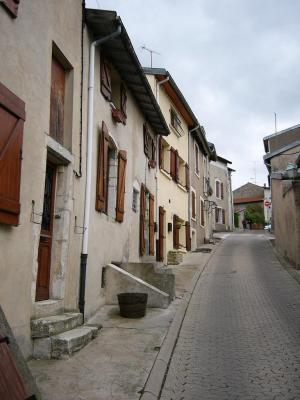 P1010565(1).JPG