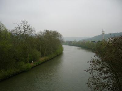 P1010571(1).JPG