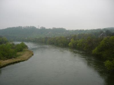 P1010573(1).JPG