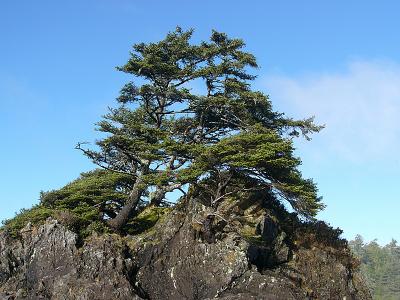 P1160135.JPG