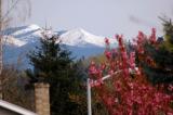 Snowcapped Mountains