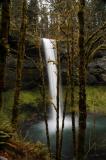 Silver Falls 6