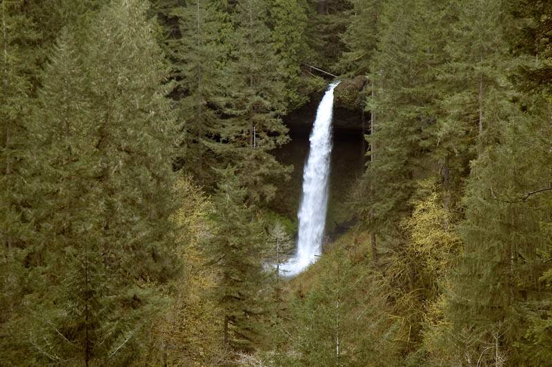 Silver Falls North 1