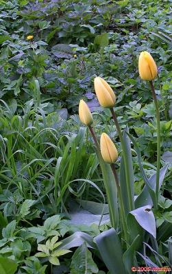100_2887park1.jpg