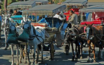 Phaeton gathering, Bykada