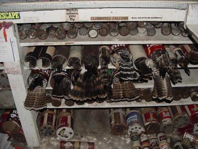 We store the birds in cans until we have time to process them