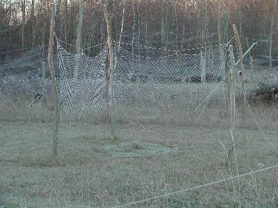 One of our traps with hoarfrost