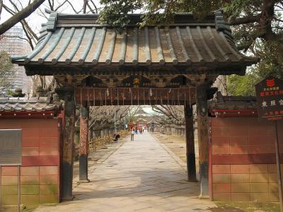 Gate leading to Toshogu Shrine