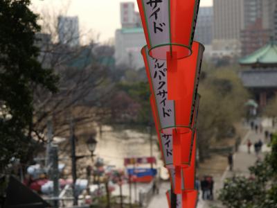 Lanterns with view on Shinobuzu pond