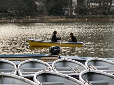 Romantic rowing