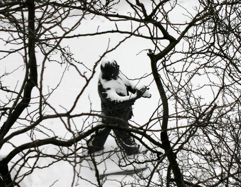 Mayor LaGuardia Making a Snowball