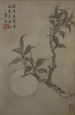 Chinese Album Leaf,  Ink on Paper - Moonlight and Prunus Branches, 11x8 inches