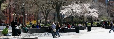 Springtime at NYU in Washington Square Park