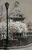 Garden at E 9th Street near 3rd Avenue