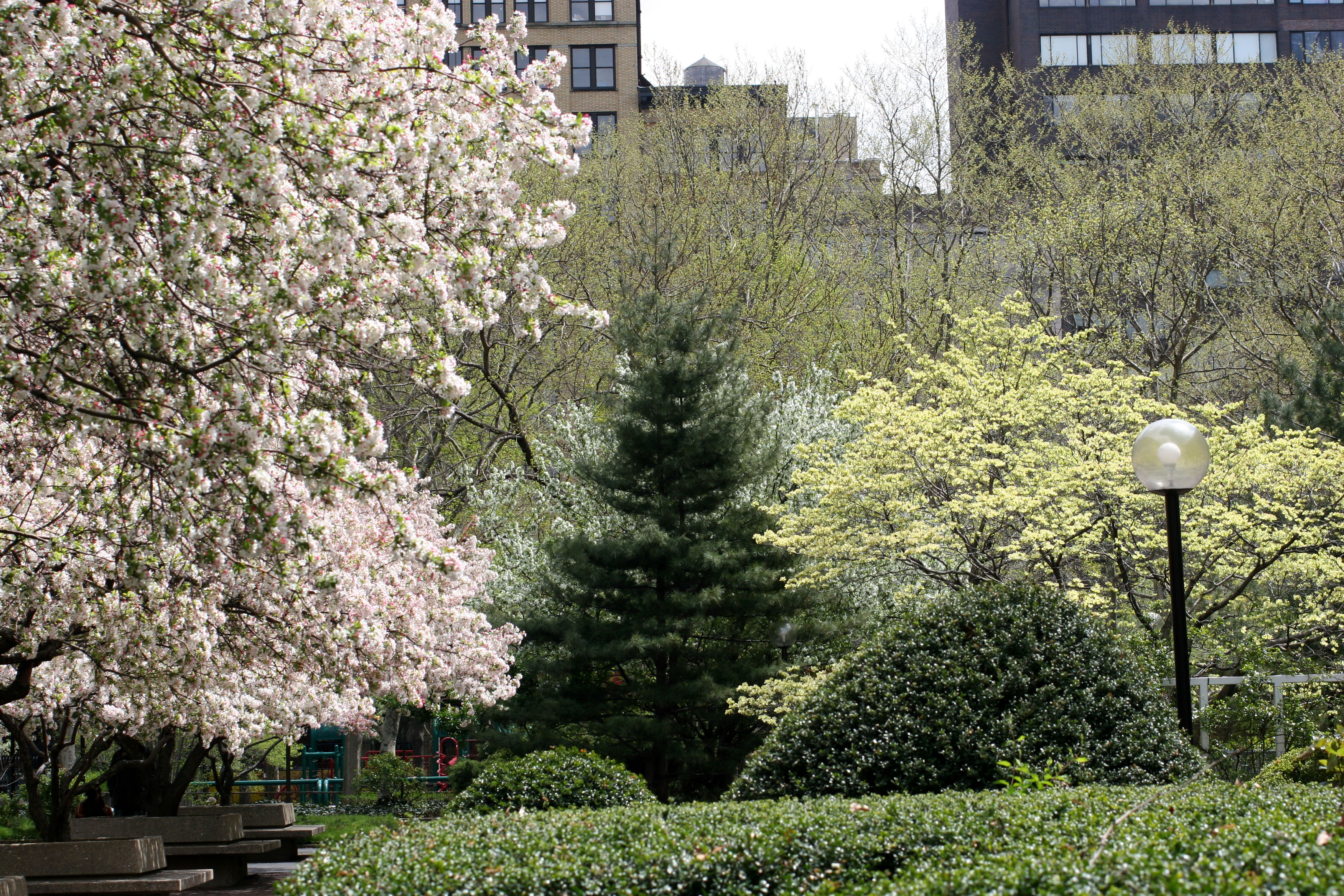 Washington Square Village Garden