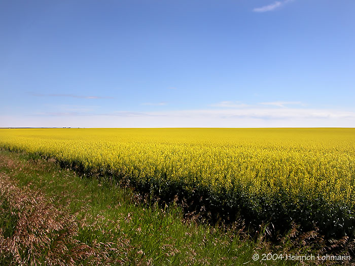 dscn6089.jpg