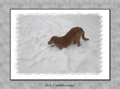 012205_DarbyD_5mo_snow