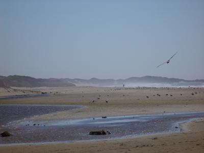 coast.JPG