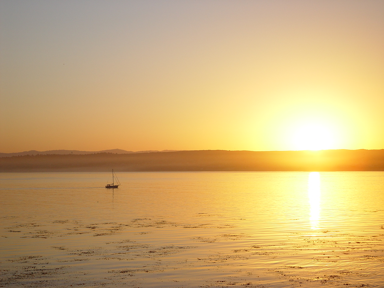 monterey sunrise.JPG