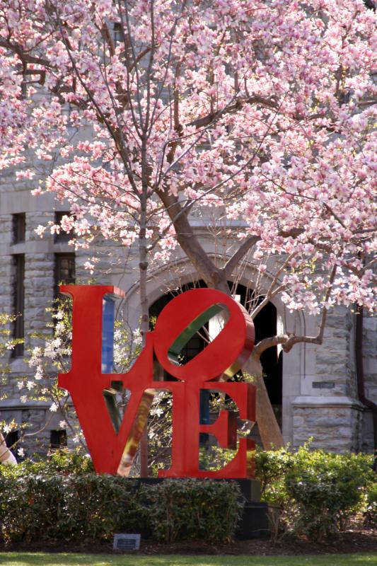 i love spring
