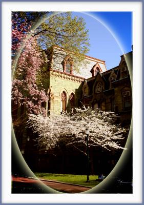 U of Penn