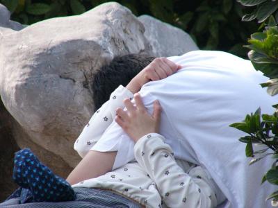 Love birds in a park