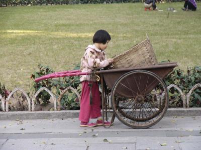 P1000155.jpg