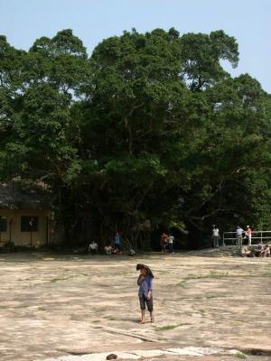 PICT1643.JPG