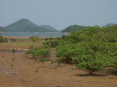 PICT1716.JPG