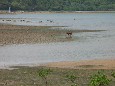 PICT1729.JPG