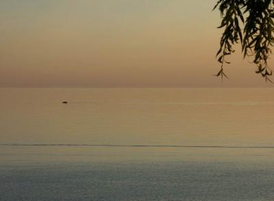 PICT0307.JPG