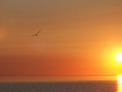 Fly. Robin. Fly.  Up Up in the sky.